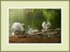 Swans and Cygnets
