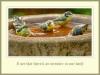 Bluetits