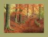 Autumn Splendour