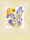 Bluebells and Pansies